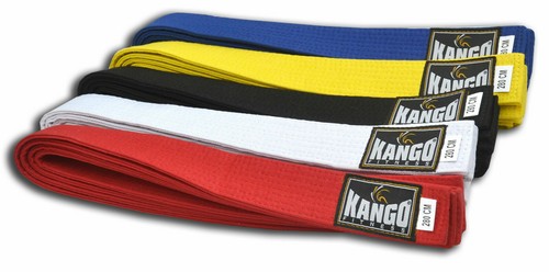Martial arts belts kickboxing - martial,