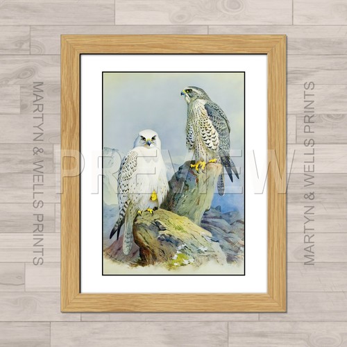 Archibald thorburn print - thorburn,