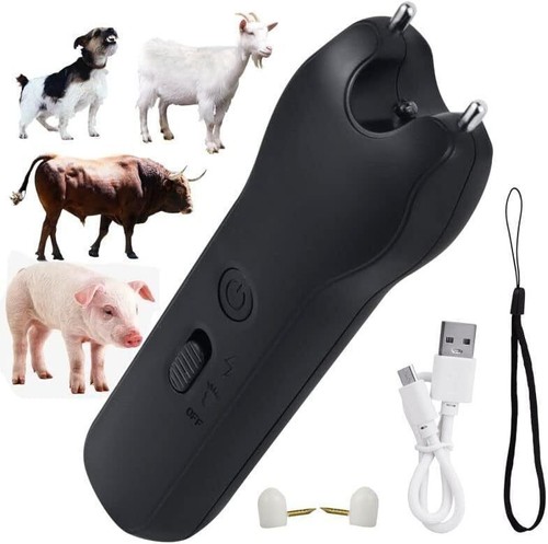 Usb electric pig - pig, cattle