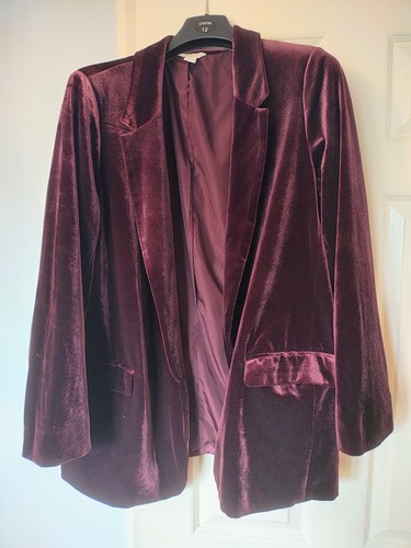 Monsoon velvet blazer - velvet, jacket
