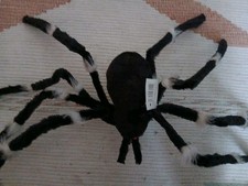 Giant Furry Spider Halloween