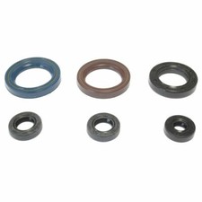 Athena Engine Oil Kit KTM GS