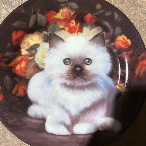 Decorative china siamese - decorative,