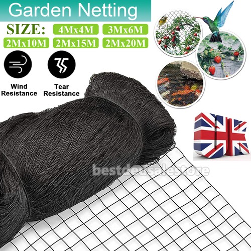Pond netting anti bird - netting,