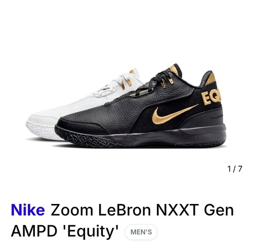 Nike zoom lebron nxxt gen - nike,