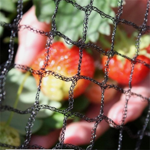 Garden netting bird - netting, net