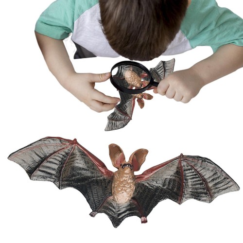 Bat model simulate - bat,