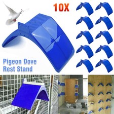 30x birds dove pigeon - birds,