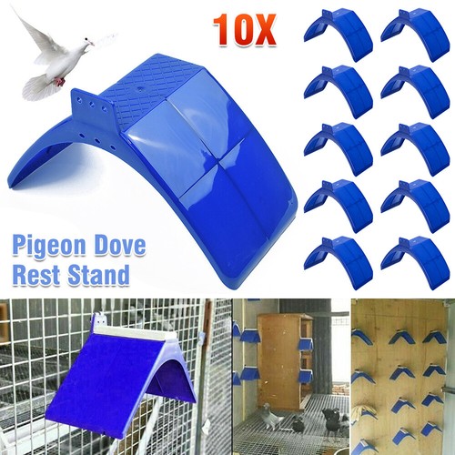 30x birds dove pigeon - 10/20/30x,