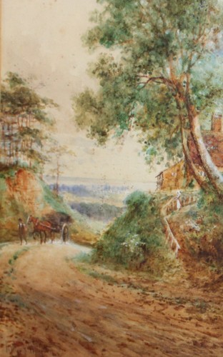 Countryside lane with horse - countryside,