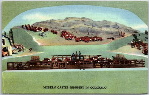 Modern cattle industry - cattle,