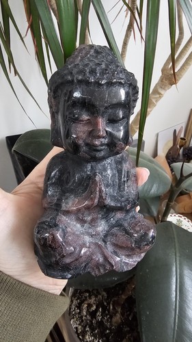 Large garnet astrophyllite - x,