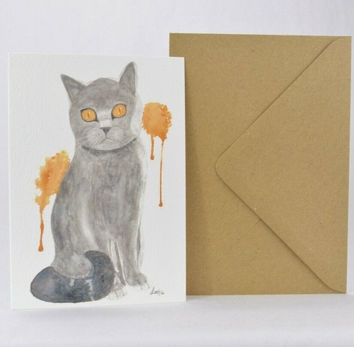 British blue shorthair - british,