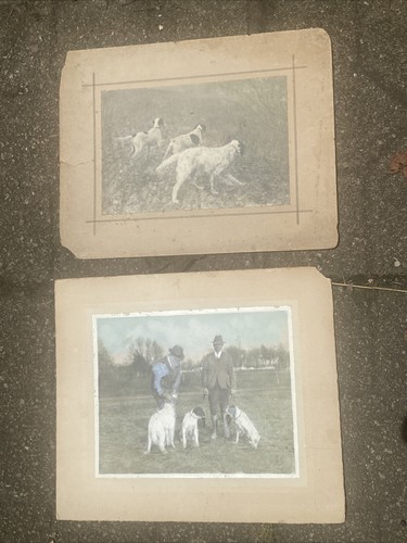 Vtg large color photo - vtg,