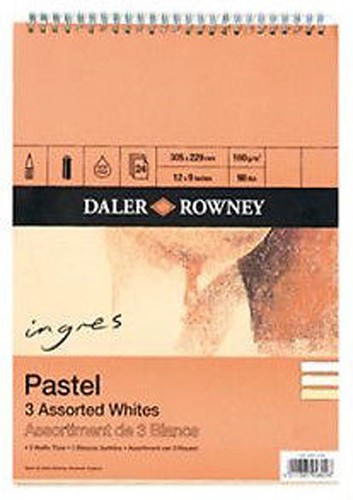 Daler rowney ingres pastel - pastel, pad