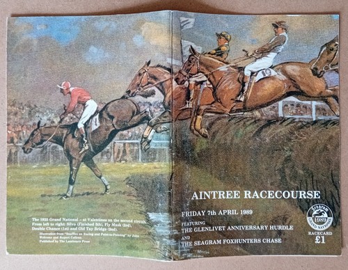 Horse racing aintree grand - horse,