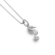 Hippocampus Kuda Seahorse
