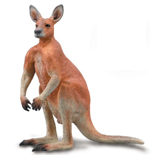 Collecta red kangaroo male - collecta,
