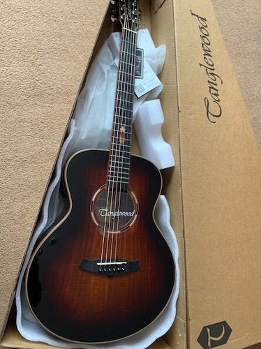 Tanglewood twx1ek travel size - travel,
