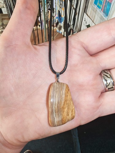 Petrified wood necklace - wood,