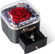Mikasol Preserved Real Rose