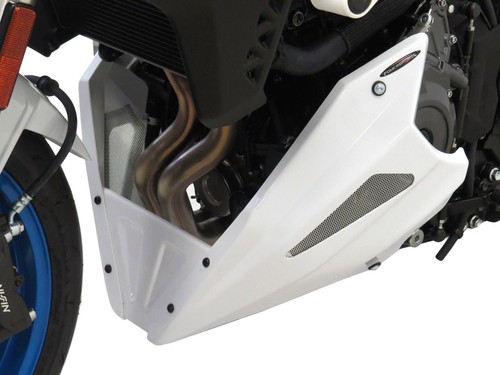Suzuki gsx 2023 - 2023, belly