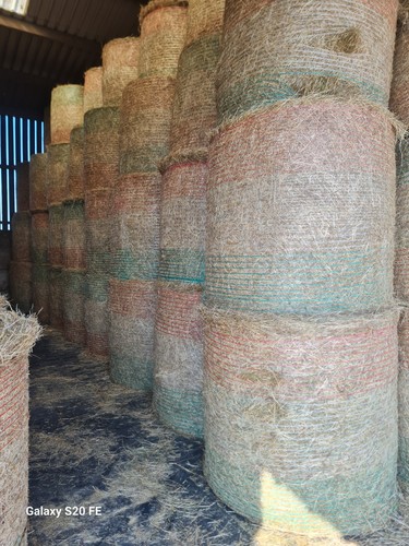 Hay bales - hay,