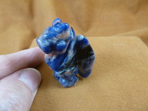 Gar 554 blue gray - y-gar-554, sodalite