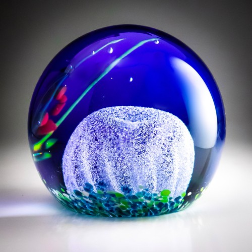 Caithness sea view - view, paperweight