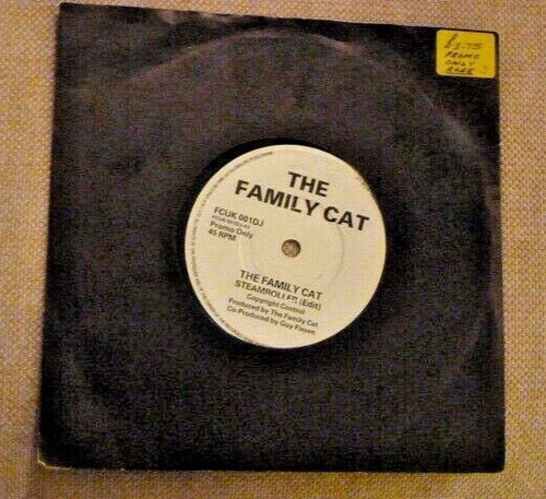 The family cat - family,