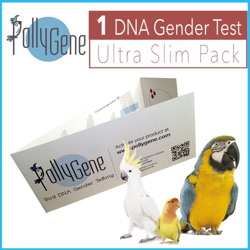 Bird slim dna gender - dna, sexing