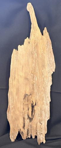 Pecky cypress driftwood - cypress,