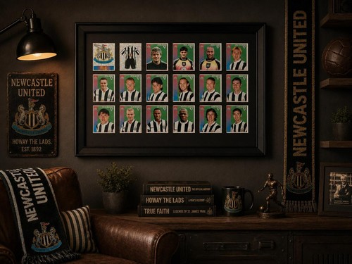 Newcastle framed stickers - newcastle,