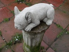 LARGE LAYING FRENCH BULLDOG