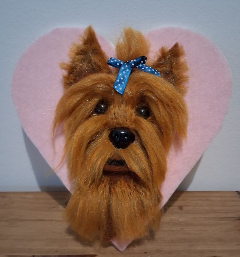Yorkie yorkshire terrier wall - yorkshire,