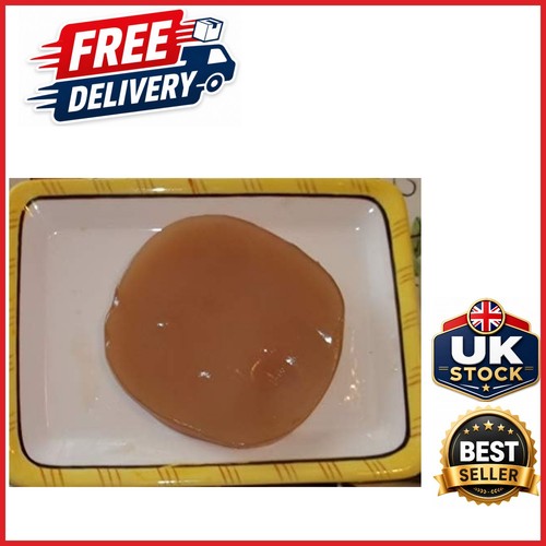 Kombucha large scoby with - kombucha,