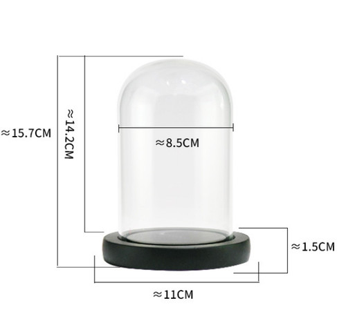 Clear cloche glass dome - clear,