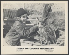 Trap On Cougar Mountain ’74