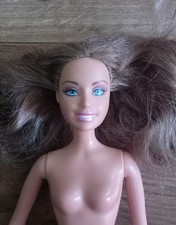Beautiful Brunette Barbie