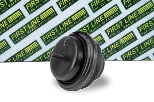 First line fem3317 - first,