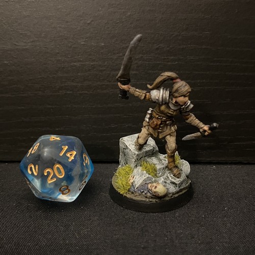 Human warrior fighter dungeons - warrior,