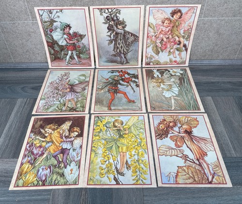 Vintage flower fairies - x9,