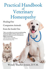 Practical Handbook of