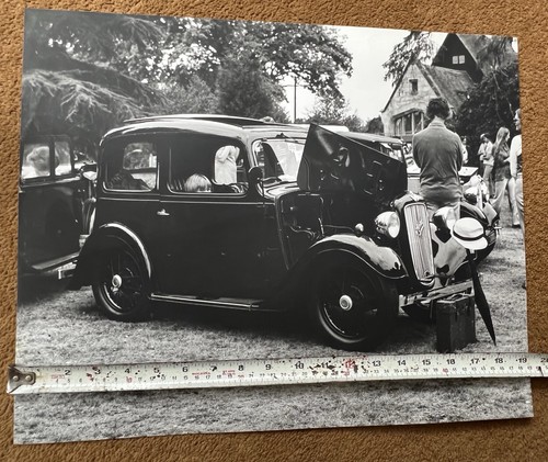 Austin seven ruby very large - seven,