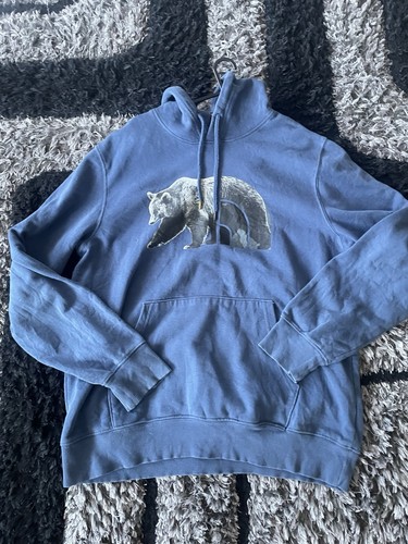 The north face hoodie - the,