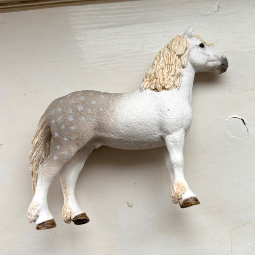 Retired white grey welsh - grey,