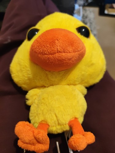 Big headz duck plush - big, toy