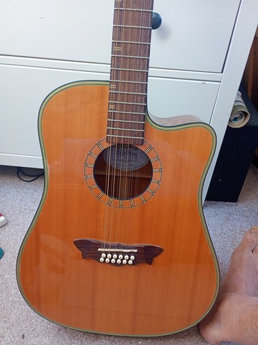 Washburn d46sce12 string - 12,