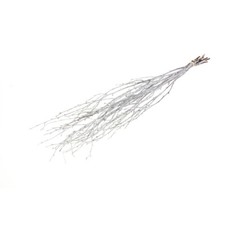 Dried Bunch Dyed Natural