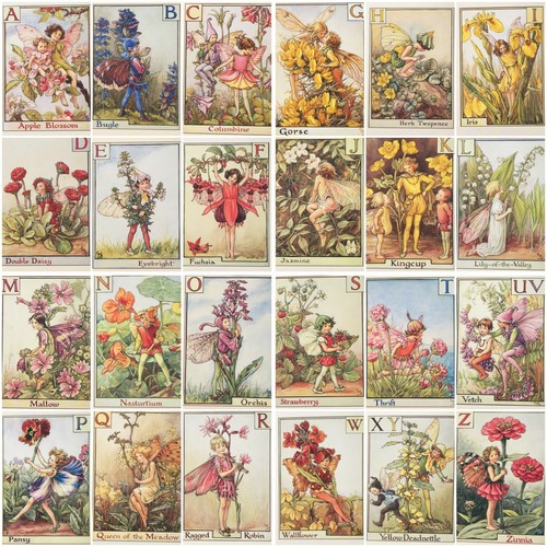 Flower fairies alphabet - flower,
